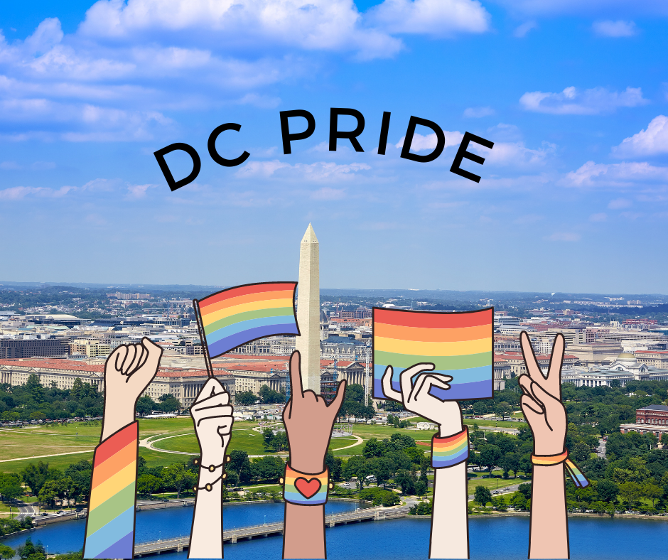 Dc Pride Paddle Capital Pride Alliance